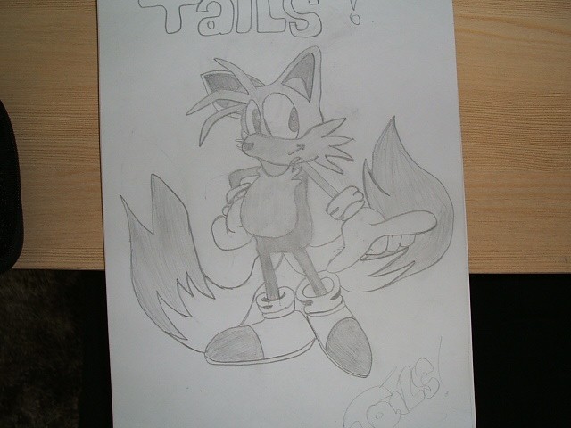 tails.jpg